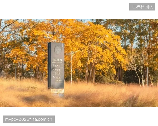 浙江纺织服装职业技术学院试点设立“愈见艺空间”，为传统健身房升级提供了“艺术疗愈+运动”的跨界课程研发样本